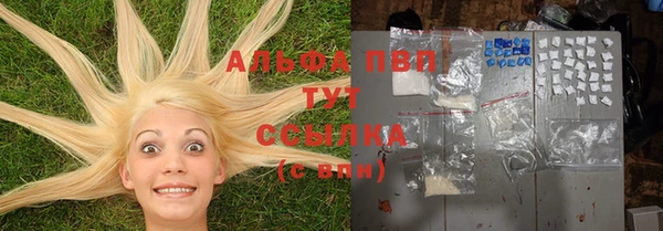 молекула духа Балахна