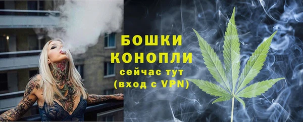 амф Аркадак