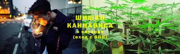 амф Аркадак