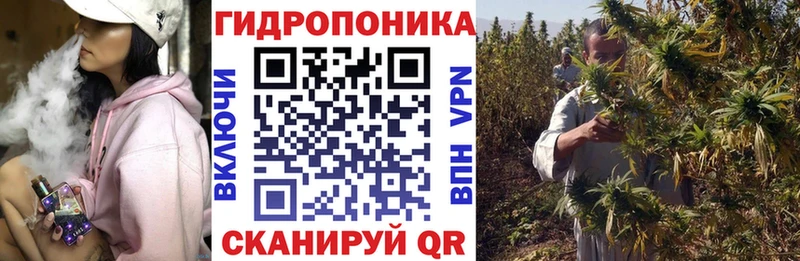 Купить закладки  Ефремов  Бошки Шишки LSD WEED 